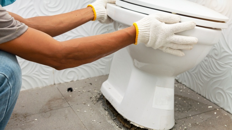 Toilet Replacement and Repair in Ellisville | Drain Cleaning STL Toilet Plumbing